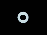 1.5˾1.5mmX14.5